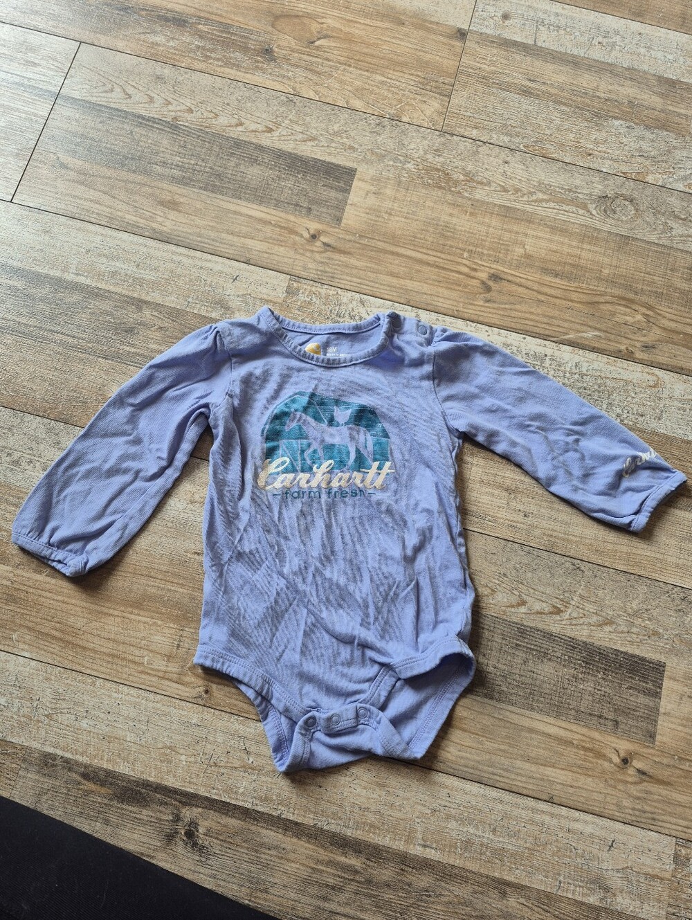 Carhartt Long-Sleeve Baby Bodysuit with Teal Graphic